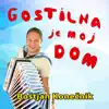 Various Artists - Gostilna je moj dom